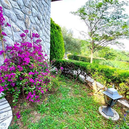 Apartment Mediterranean Garden Rijeka Exterior photo